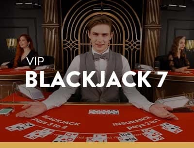 Blackjack VIP 7