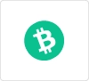 bitcoin cash
