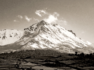 TOLUCA